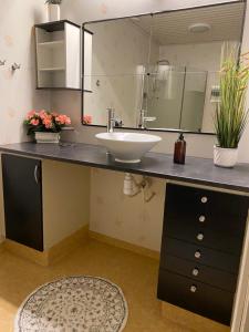 a bathroom with a sink and a mirror at Centrally located spacious Townhouse with large patios and a Fireplace in Boden