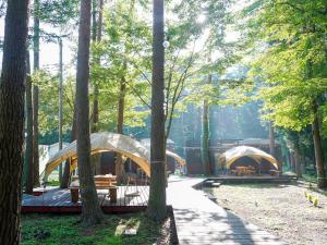 Naturlandschaft in der Nähe des Campingplatzes