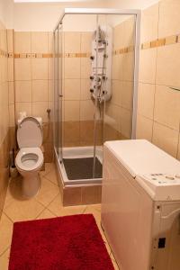 a bathroom with a shower with a toilet and a red rug at Darling Apartman in Szeged