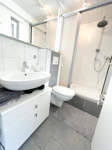 La salle de bains est pourvue d'un lavabo, de toilettes et d'une douche. dans l'établissement Ginius Homes - Eifelglück im Grünen, à Kall