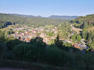 uma pequena cidade num vale com casas e árvores em Le Breval em Colroy-la-Roche
