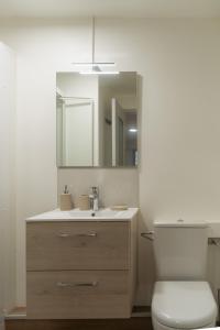 W łazience znajduje się umywalka, toaleta i lustro. w obiekcie Le Place Du Bourg Appartement T2 Centre Historique Rodez w mieście Rodez