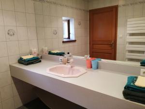 コロワ・ラ・ロシュにあるLe Brevalのバスルーム(洗面台、鏡付)