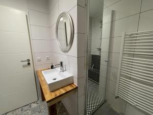 a bathroom with a sink and a mirror at Oerlinghausen Groß in Oerlinghausen