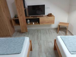 TV a/nebo společenská místnost v ubytování Fruškogorski djeram