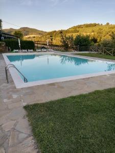 a large blue swimming pool with chairs in the grass at Fattoria di Rigone in Coltavolino