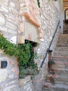 Una pared de piedra con escaleras y plantas. en Fattoria di Rigone, en Coltavolino