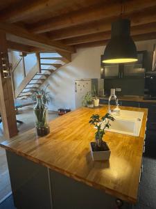 Gallery image of Chalet le Lotus Blanc in Les Deux Alpes