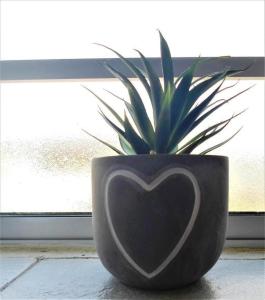 une plante dans un pot avec un cœur peint sur lui dans l'établissement Cenikma Guest Suites - Couples Room, à East London