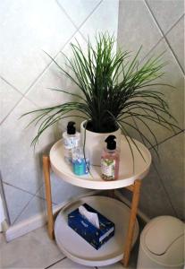 une plante en pot sur une table dans une salle de bains dans l'établissement Cenikma Guest Suites - Couples Room, à East London