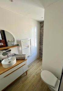 ein Badezimmer mit einem weißen Waschbecken und einem WC in der Unterkunft Appartement de charme - Cholet Centre in Cholet