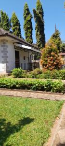 Taman di luar Aivilo Home