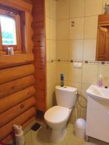 a bathroom with a white toilet and a sink at Dom letniskowy Uście Gorlickie in Uście Gorlickie