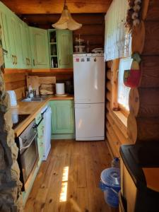 a kitchen with green cabinets and a white refrigerator at Dom letniskowy Uście Gorlickie in Uście Gorlickie