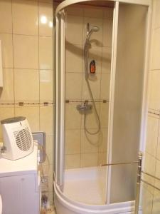 a shower with a glass door in a bathroom at Dom letniskowy Uście Gorlickie in Uście Gorlickie