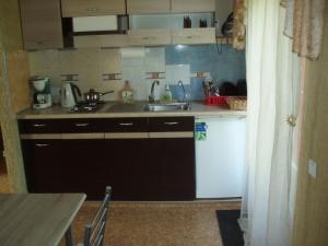 a kitchen with a sink and a counter top at Laucinieki in Lipuški