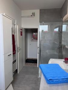 a bathroom with a shower and a tub and a sink at Ferienwohnungen am "Spiel-emagazin" in Halberstadt +98 photos