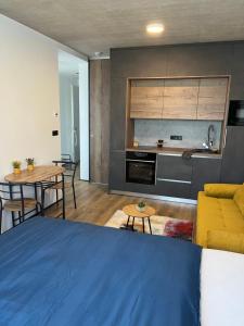 Kuchyň nebo kuchyňský kout v ubytování Pražská Apartments