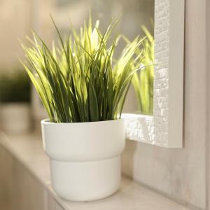 a plant in a white pot sitting on a counter at Ferienwohnung "Casa El Aberle" Modern eingerichtet in schöner Lage mit Parkplatz in Stockach