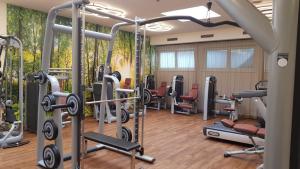 מרכז הכושר ו/או מתקני הכושר ב-Vital-Hotel-Styria