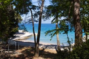 Fotografie z fotogalerie ubytování Apartments by the sea Malinska, Krk - 13523 v destinaci Malinska