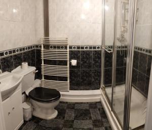 a bathroom with a toilet and a shower at Pentre Cottage near Craig y Nos in Pen-y-cae