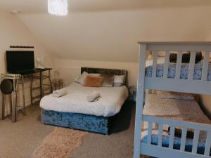 a bedroom with a bunk bed and a television at Pentre Cottage near Craig y Nos in Pen-y-cae