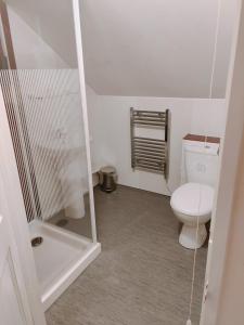 a small bathroom with a toilet and a shower at Pentre Cottage near Craig y Nos in Pen-y-cae
