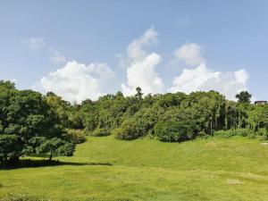 a green field with trees in the background at VILLA AICHY in Rabi