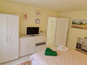 a bedroom with a television and a bed with a green object on it at Apartamentul ALB in Buşteni