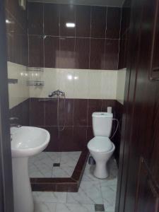 a bathroom with a toilet and a sink at Gldani-house in Tbilisi City