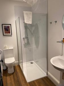 安斯特拉瑟Balcomie Links Hotel的带淋浴、马桶和水槽的浴室