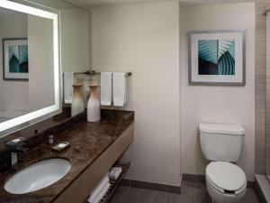 a bathroom with a sink and a toilet and a mirror at Hyatt Regency Jacksonville Riverfront in Jacksonville