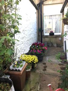 um jardim com flores em vasos ao lado de um edifício em Number 19 - Victorian Town House em Clitheroe