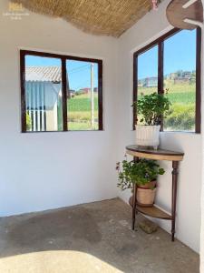 um quarto com duas janelas e uma mesa com uma planta em Casa Laureano 