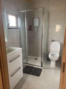 a bathroom with a shower and a toilet and a sink at Cheerful Cozy Cabin in Countryside in Limerick