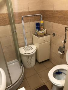 małą łazienkę z toaletą i umywalką w obiekcie Čarapan w mieście Kruševac