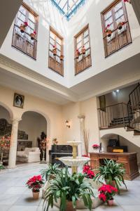 um quarto grande com um tecto com janelas e plantas em CASA17 Santacruz Suites em Sevilha