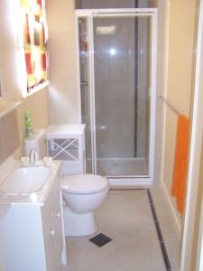 a bathroom with a shower and a toilet and a sink at RJ's Bed & Breakfast in Maryborough