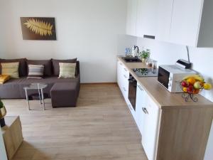 a kitchen and a living room with a couch at Complex Apartamenty - Golden in Koszalin