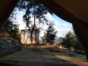 vista dall'interno di una tenda di Suxen nature experience - glamping con vista panoramica a Prepotto