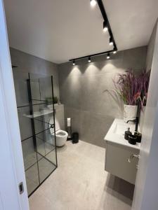 a bathroom with a shower and a toilet and a sink at rooms 48 in Eilat +12 photos
