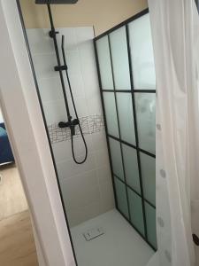 prysznic ze szklanymi drzwiami w łazience w obiekcie La charmante Cayolaise w mieście Cayeux-sur-Mer