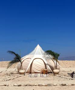 a white tent on the beach with two palm trees at TRANQUILO - Dead Sea Glamping in Metsoke Dragot