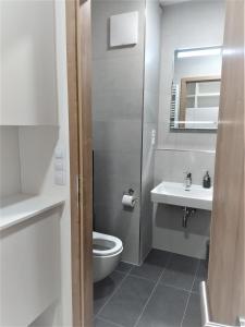 Koupelna v ubytování Apartmán Tommy - Zadov