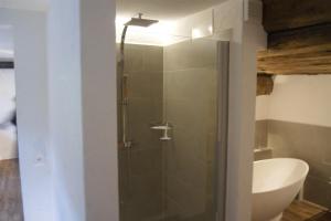 a shower with a glass door in a bathroom at Charming 3½ room cottage in Valposchiavo in Poschiavo