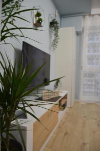 ブカレストにあるSUNSHINE - New & Quiet 1BR Apt, Business area, close to Airport, Highway A3, Subwayのリビングルーム(テレビ、鉢植え付)