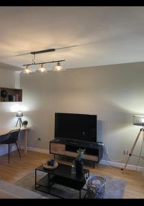 Televízia a/alebo spoločenská miestnosť v ubytovaní Appartement complet centre ville