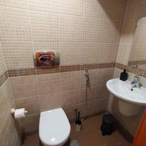 a bathroom with a toilet and a sink at Residência D'Atalaia in Fronteira