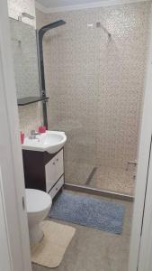 een badkamer met een douche, een toilet en een wastafel bij Apartament cu 1 camera spatios ,luminos . in Cugir